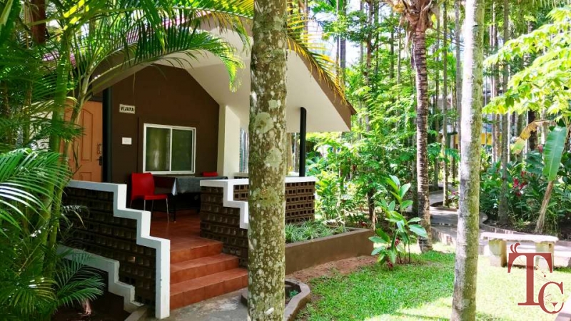 Parampara Resort photo 8