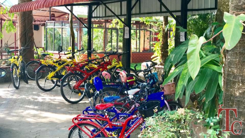Parampara Resort photo 16