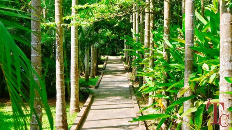 Parampara Resort photo 25