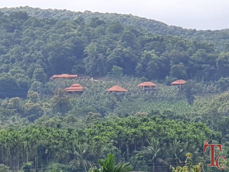 Forest Edge Resort photo 39