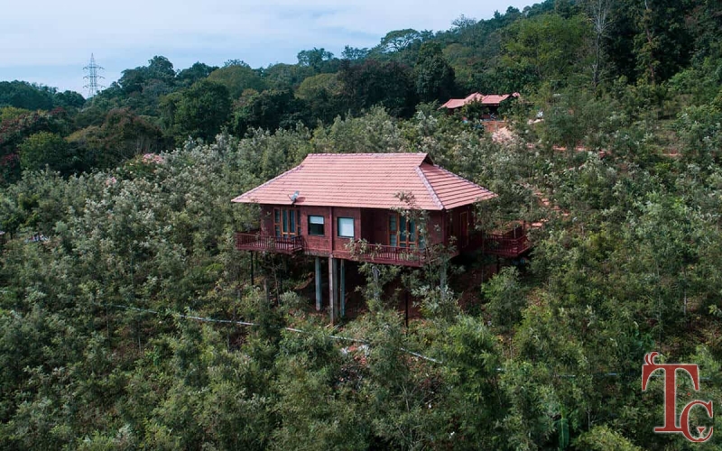Forest Edge Resort photo 44