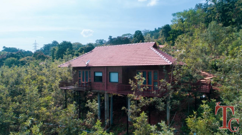 Forest Edge Resort photo 50