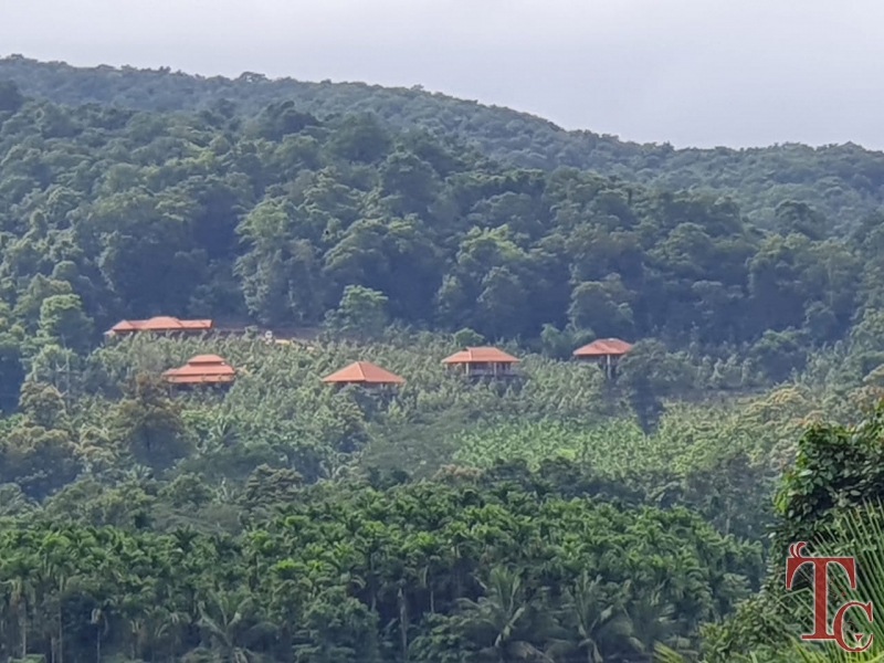 Forest Edge Resort photo 51