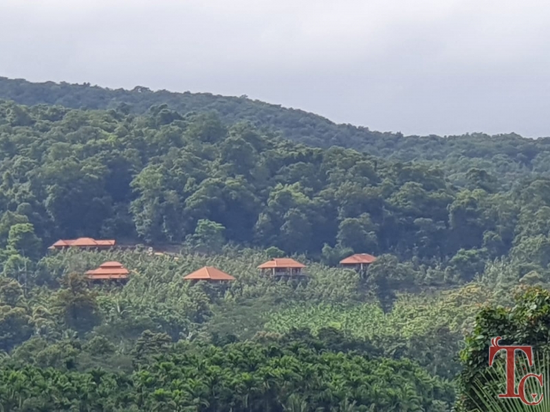 Forest Edge Resort photo 53