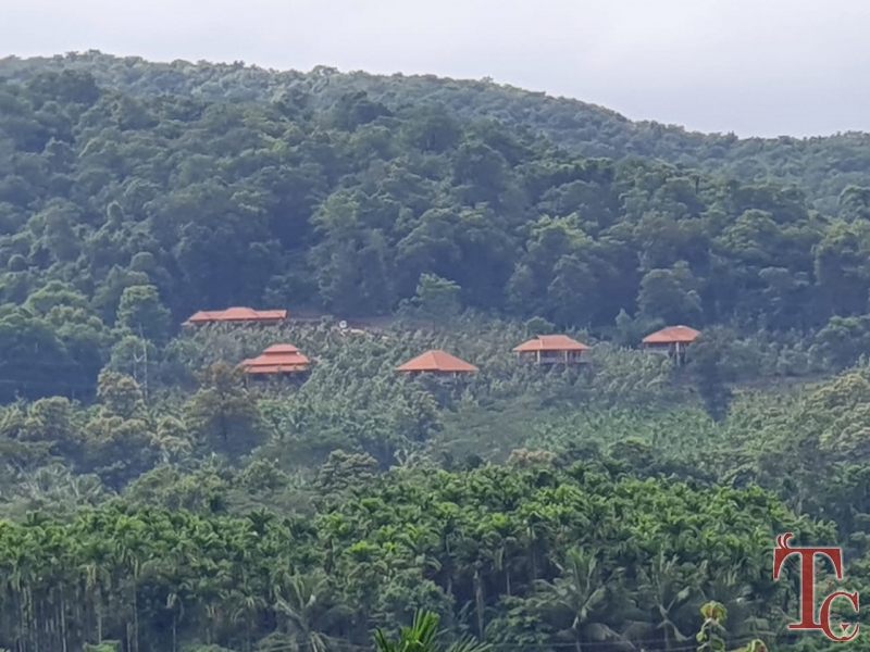 Forest Edge Resort photo 62
