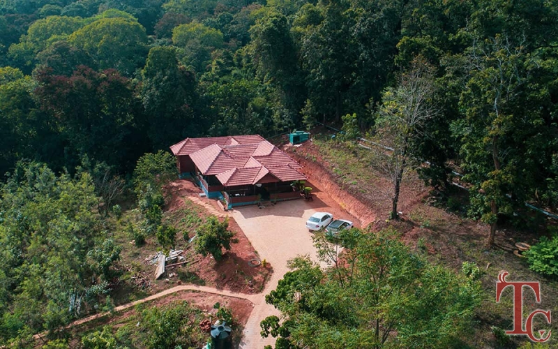 Forest Edge Resort photo 65