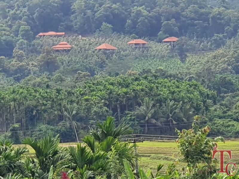 Forest Edge Resort photo 83