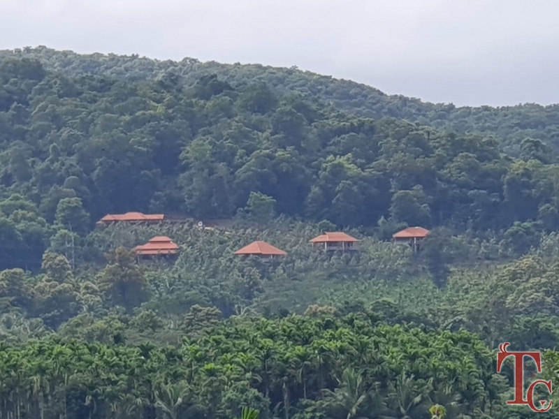 Forest Edge Resort photo 95