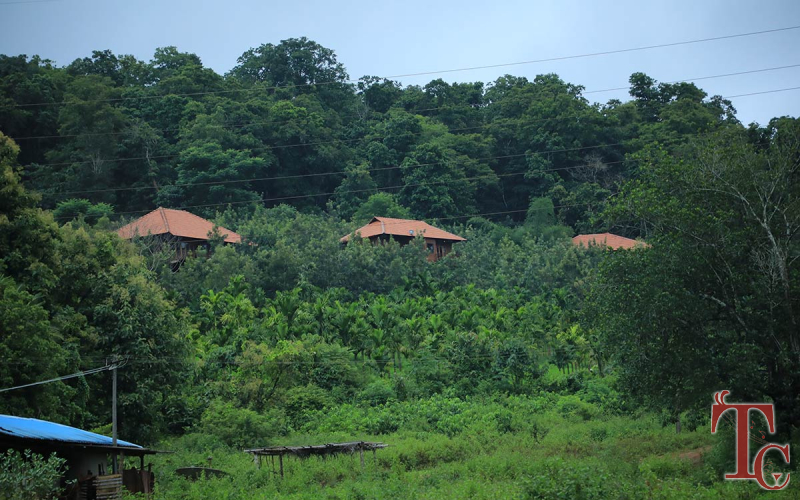Forest Edge Resort photo 102
