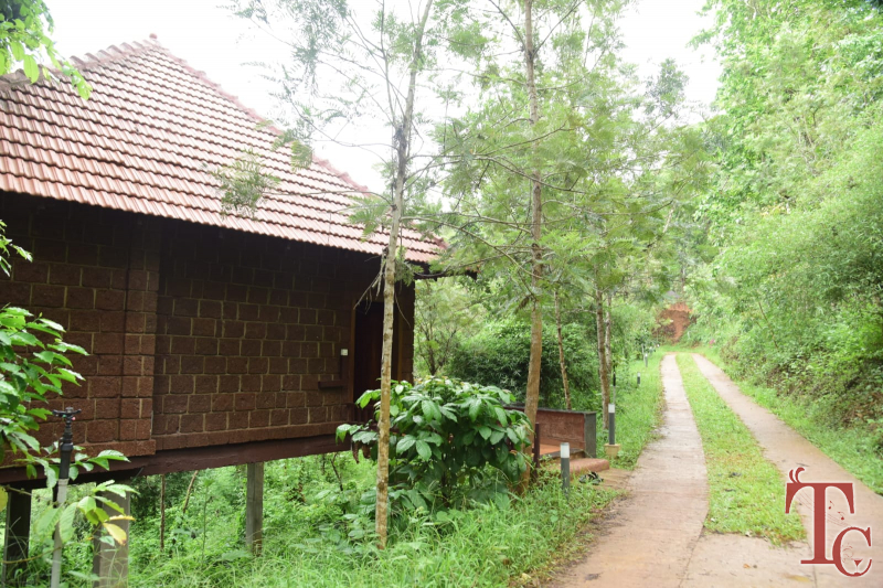 Forest Edge Resort photo 117